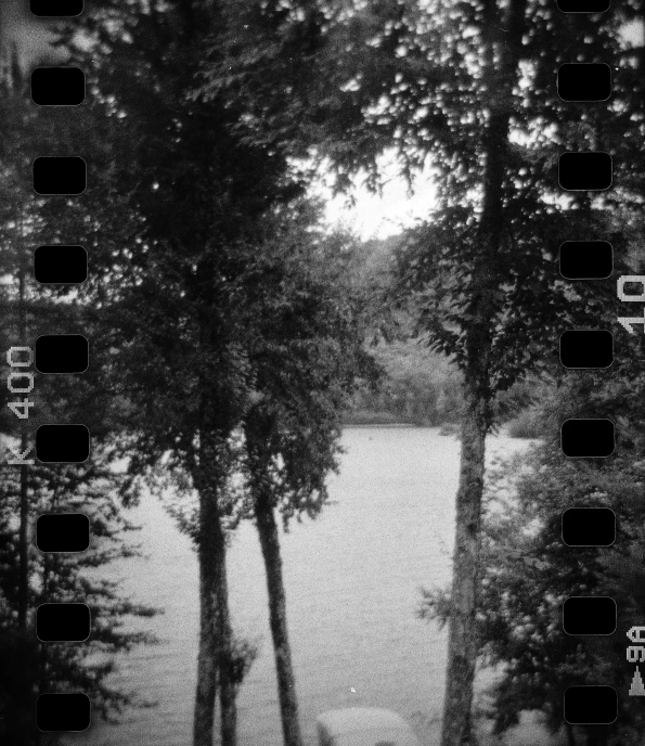 a couple of trees sitting next to a body of water, inspired by Louis Faurer, home video footage, archival quality image, trail camera footage, ansel ]