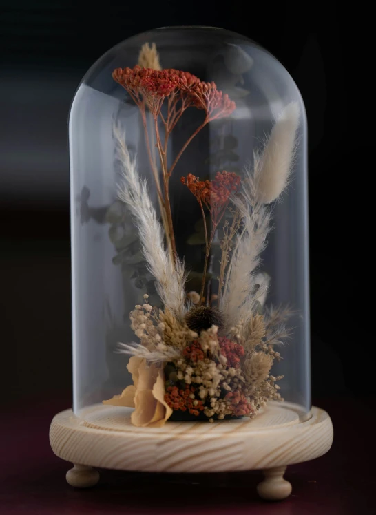 a glass cloche with dried flowers inside of it, by Zofia Stryjenska, coral red, detailed product image, large tall, magic hour