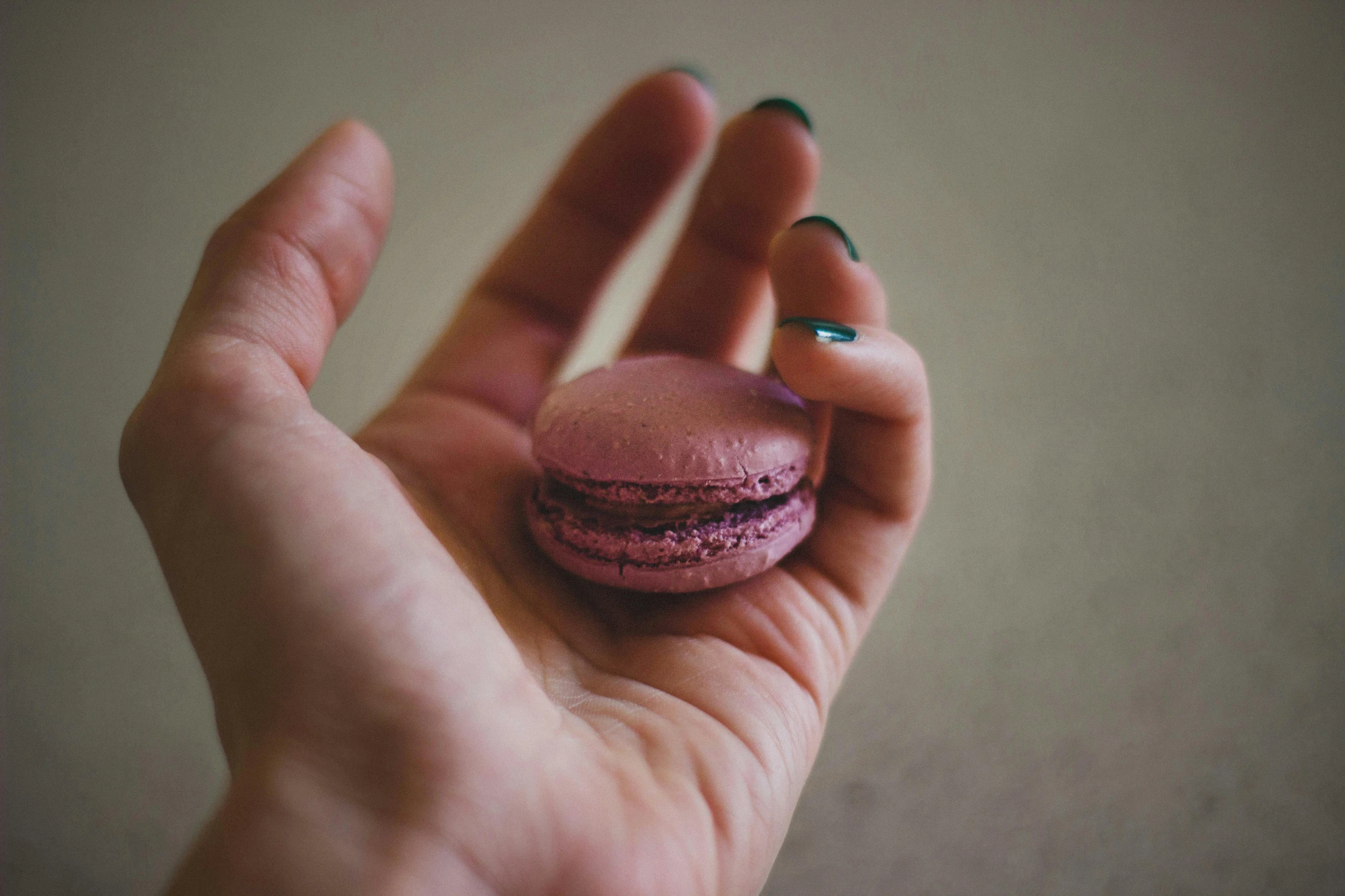 a person holding a pink macaron in their hand, inspired by Elsa Bleda, pexels, visual art, made of food, chocolate, small, magenta and gray