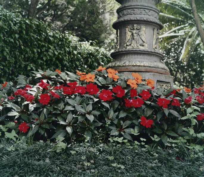 a fountain surrounded by red and orange flowers, inspired by Thomas Struth, 1990 photograph, naples, 3 colour, bromeliads