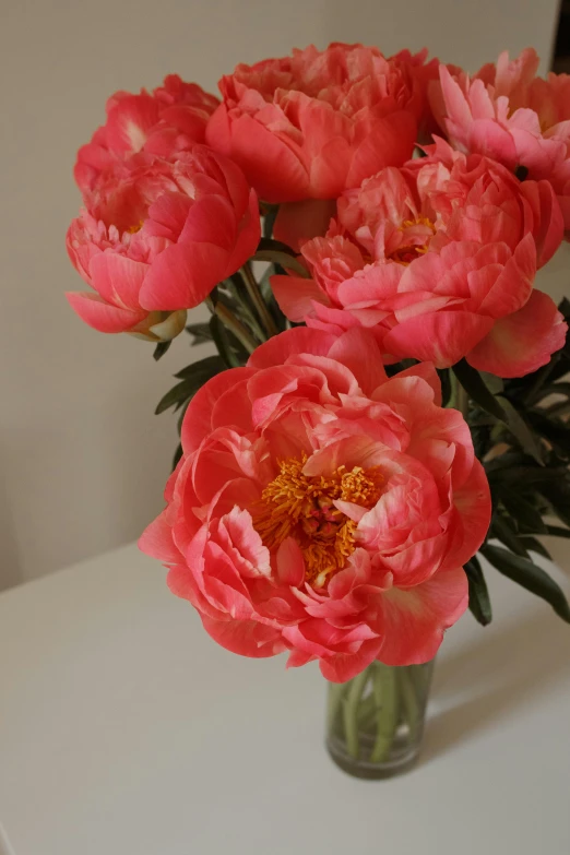a vase filled with pink flowers sitting on a table, zoomed in, coral, peony, close - up photograph