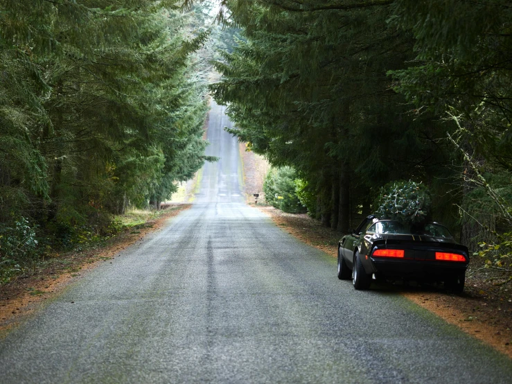 a car that is sitting in the middle of a road, by Jim Nelson, pexels contest winner, black fir, knight rider, woodland location, no cropping