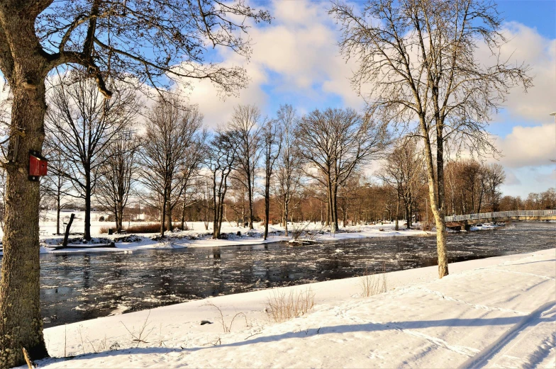 a man riding skis down a snow covered slope, a photo, inspired by Eero Järnefelt, flickr, scenic view of river, sunny day in a park, today\'s featured photograph 4k, trees bent over river