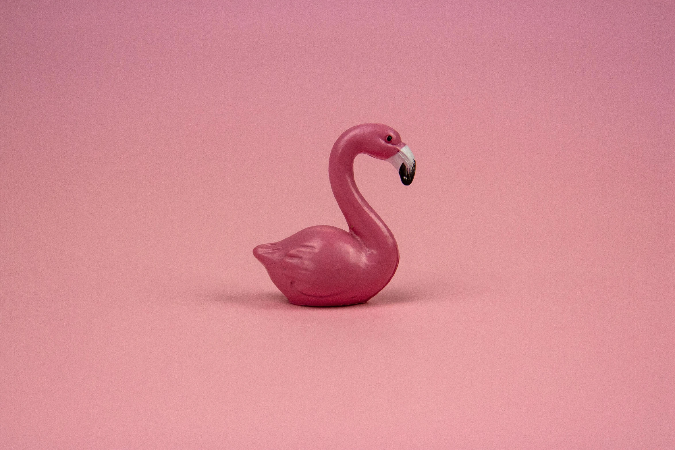 a pink flamingo on a pink background, an album cover, by Paul Bird, magic realism, vinyl toy figurine, trending on dezeen, glazed, liam