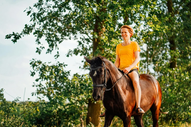 a woman riding on the back of a brown horse, by Julia Pishtar, ultra - quality, very sunny weather, thumbnail, high quality image