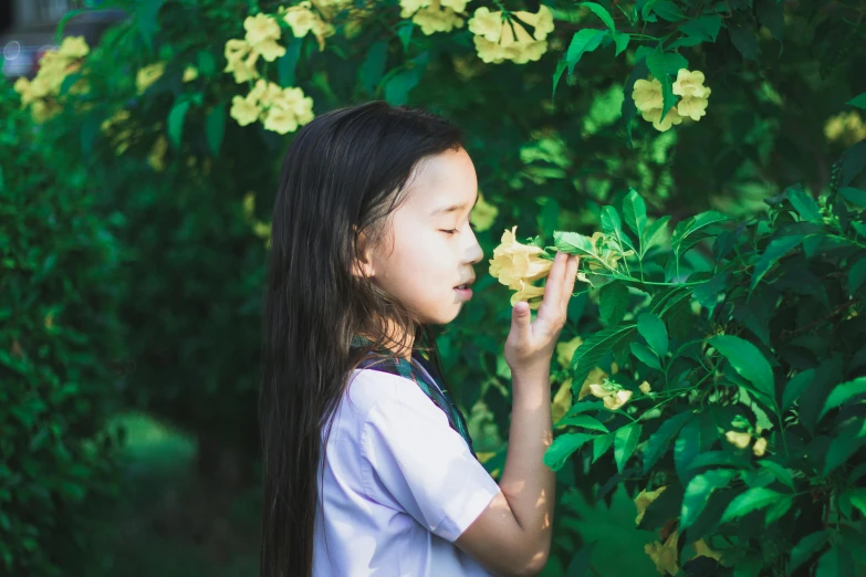 a little girl that is smelling some flowers, pexels contest winner, avatar image, profile image, song nan li, lush greenery