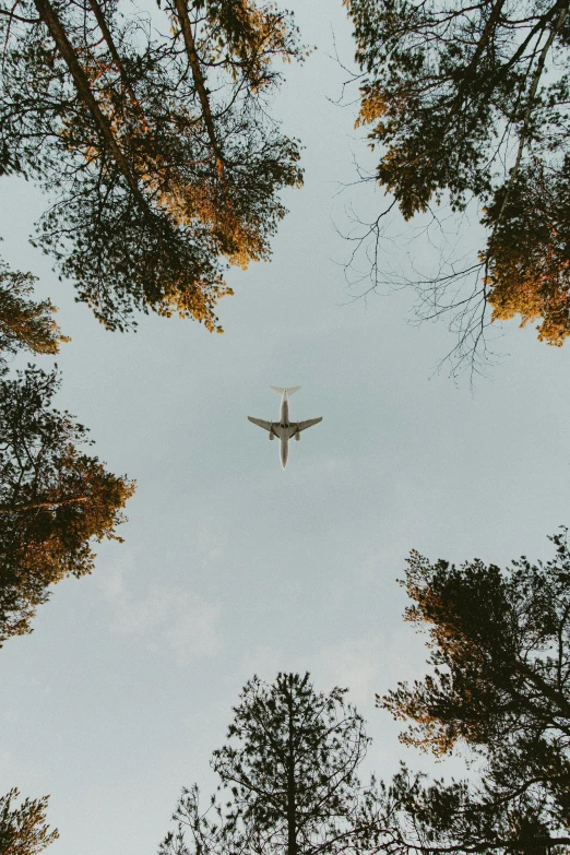 a large jetliner flying through a forest filled with trees, by Carey Morris, pexels contest winner, upside-down, minimalistic composition, 🚿🗝📝, concert
