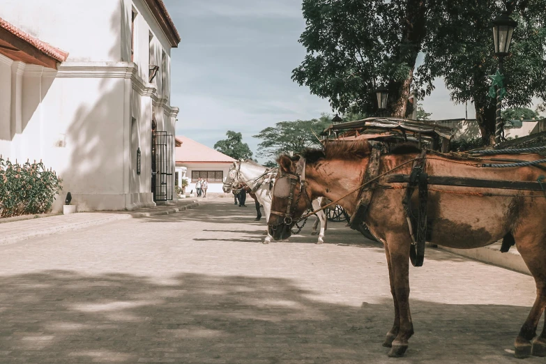 a brown horse standing next to a white building, philippines, fan favorite, colonial exploration, bags on ground