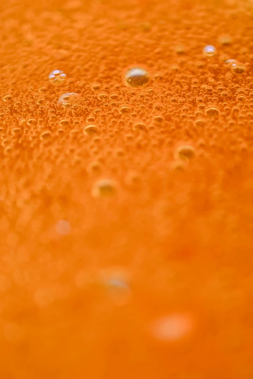 a close up of water droplets on an orange surface, a macro photograph, unsplash, surface with beer-texture, grain”