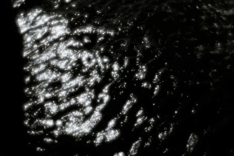 a black and white photo of a body of water, an album cover, inspired by Vija Celmins, kinetic pointillism, fluorescent spots, as seen from space, background ( dark _ smokiness ), a close-up