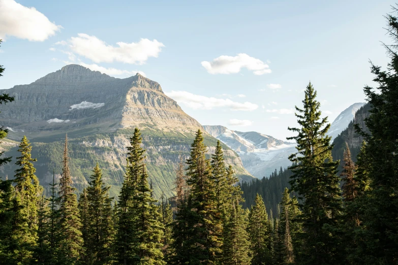 a forest filled with lots of trees and a mountain in the background, by Kristin Nelson, trending on unsplash, glacier national park, conde nast traveler photo, spruce trees on the sides, bakelite rocky mountains