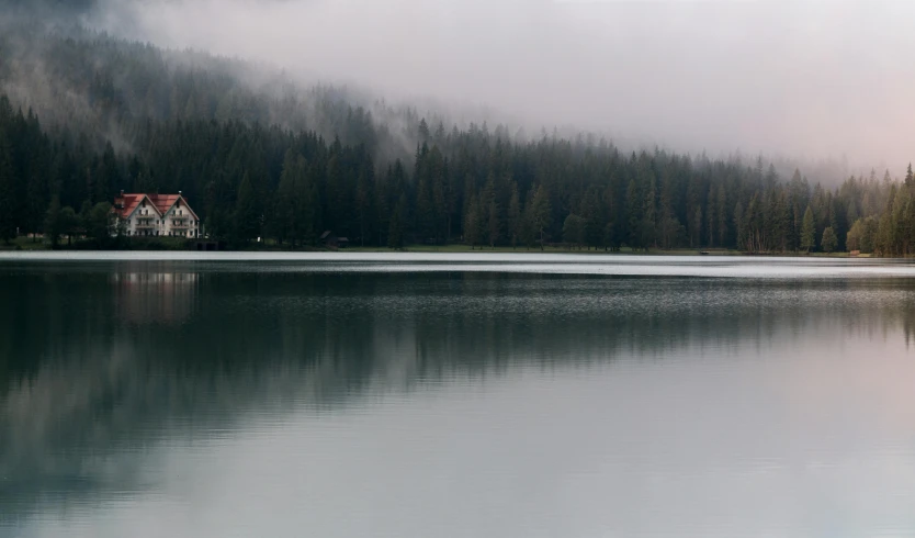 a large body of water next to a forest, inspired by Pierre Pellegrini, pexels contest winner, minimalism, house in forest, overcast lake, black fir, grey