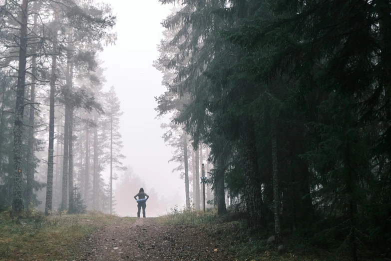 a person standing in the middle of a forest, under a gray foggy sky, instagram post, swedish forest, looking sad