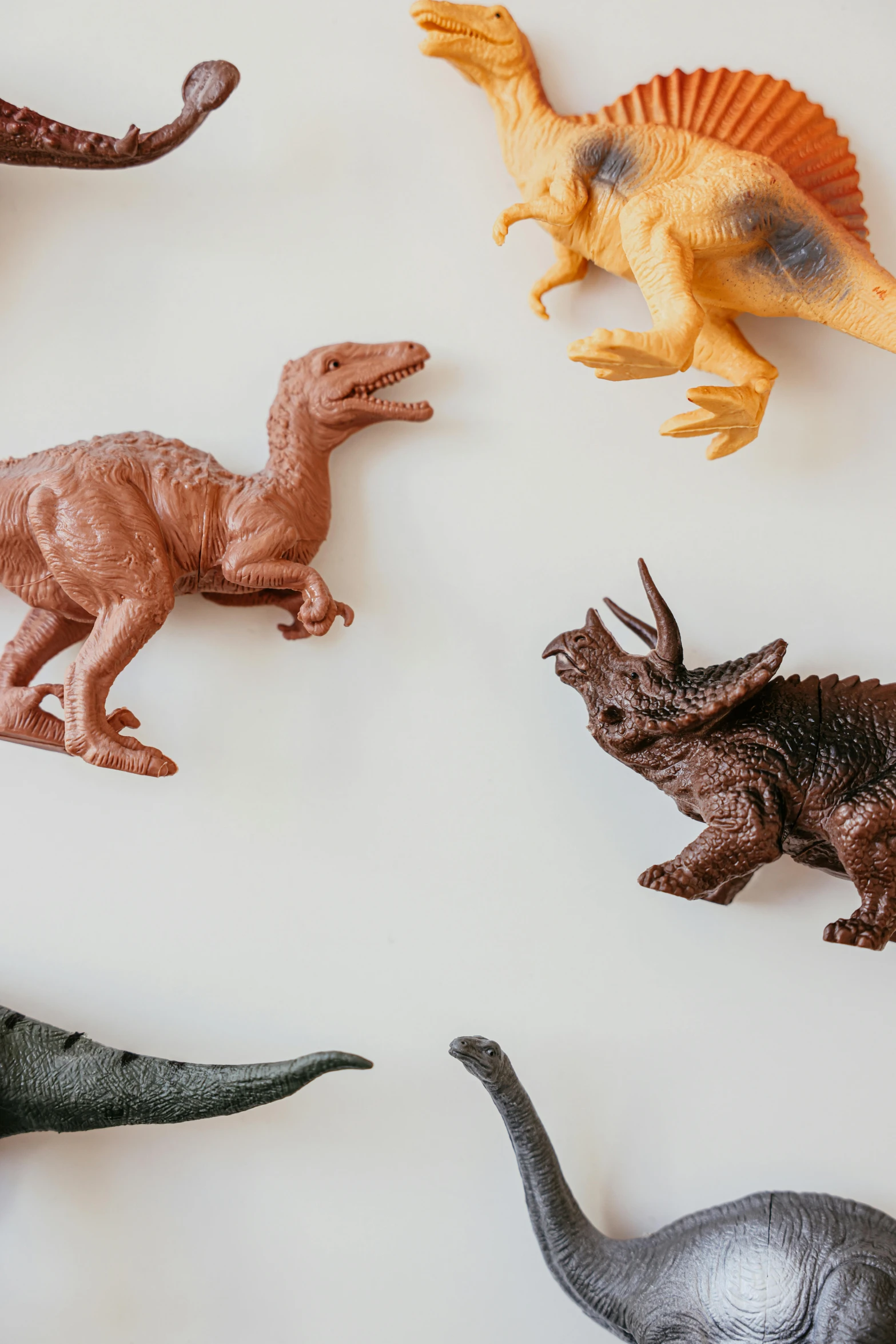 a group of toy dinosaurs sitting on top of a white surface, visual art, chocolate, wall art, plastic toy, diverse