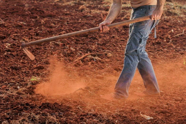 a man that is standing in the dirt with a hoe, by Jessie Algie, pexels contest winner, working out in the field, red dusty soil, avatar image, garden