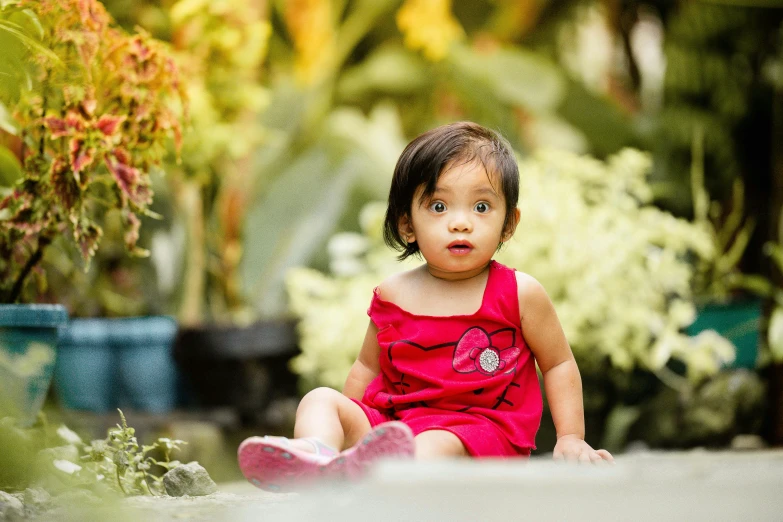 a little girl in a red dress sitting on the ground, by Basuki Abdullah, avatar image, botanic garden, very surprised, cheeks