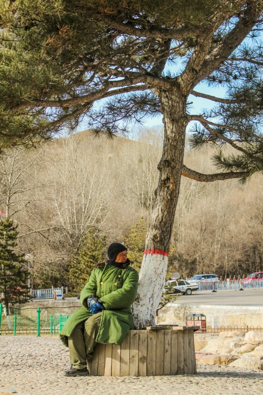 a person sitting on a bench under a tree, inspired by An Zhengwen, cold temperature, mongolia, 2019 trending photo, public art