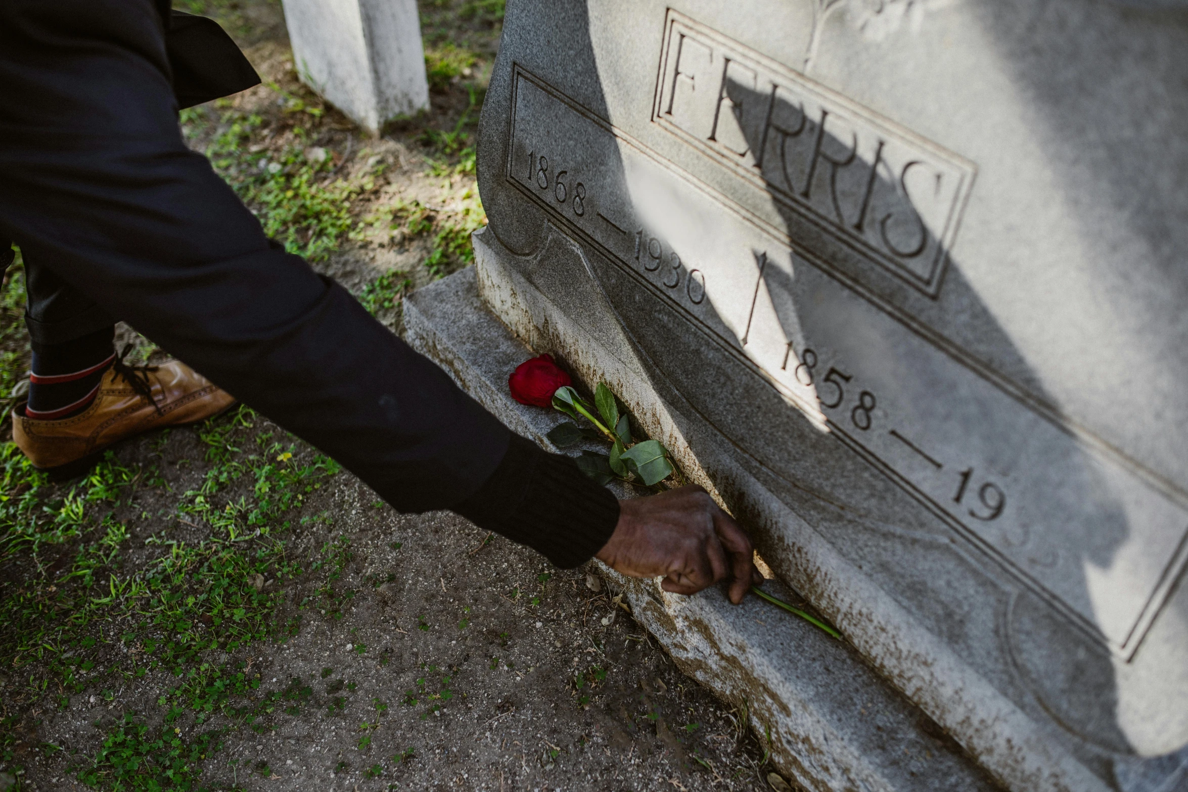 a person placing a rose on a grave, profile image, memphis, ignant, close-up photo