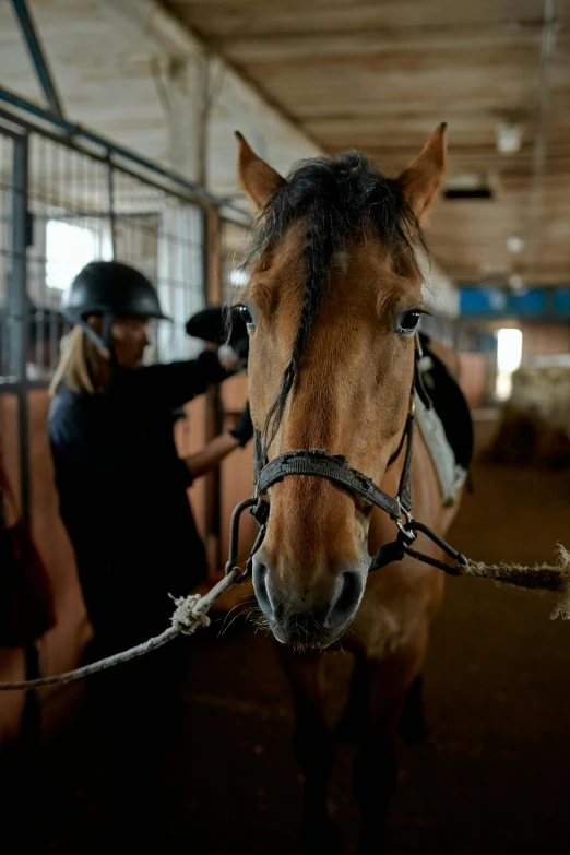 a woman standing next to a horse in a stable, a portrait, trending on unsplash, pov photo, photographed for reuters, working hard, rectangle