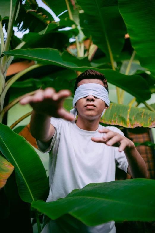 a man wearing a blindfold in front of a banana tree, an album cover, unsplash, julian ope, holding his hands up to his face, sneaking, avatar image