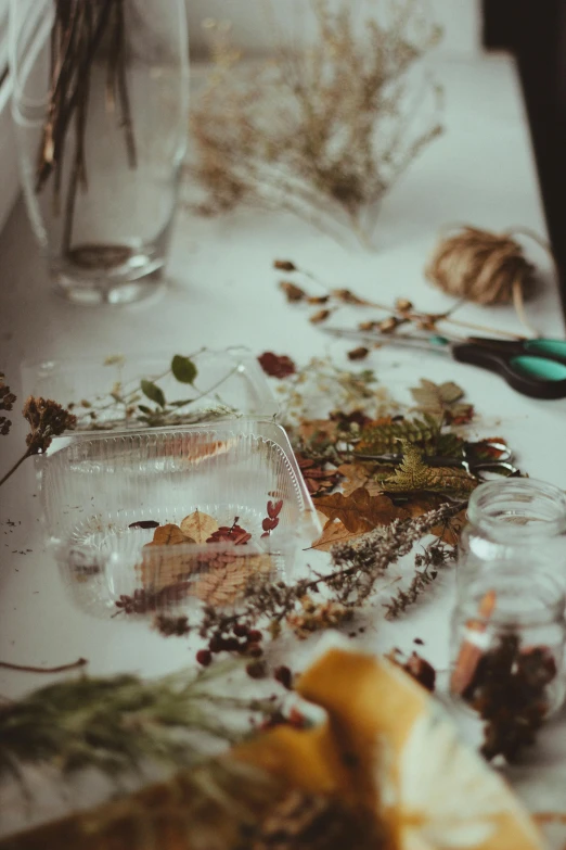 a table that has a bunch of food on it, a still life, inspired by Elsa Bleda, trending on pexels, process art, made of dried flowers, translucent leaves, apothecary, brown