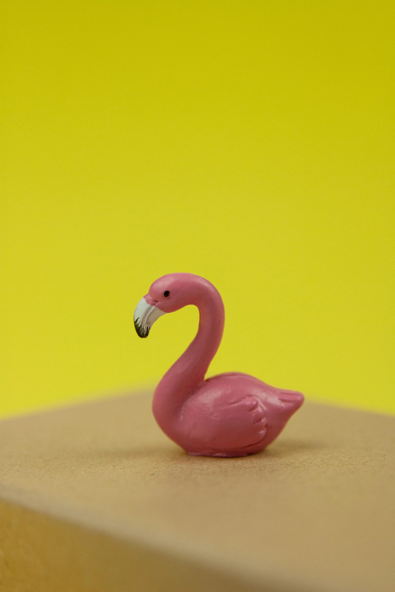 a pink flamingo sitting on top of a box, by Paul Bird, mini figure, small upturned nose, vanilla