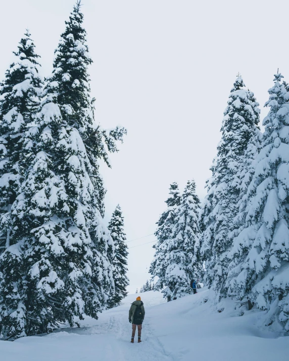 a person riding skis down a snow covered slope, pexels contest winner, walking through the trees, thumbnail, evergreen valley, a cozy