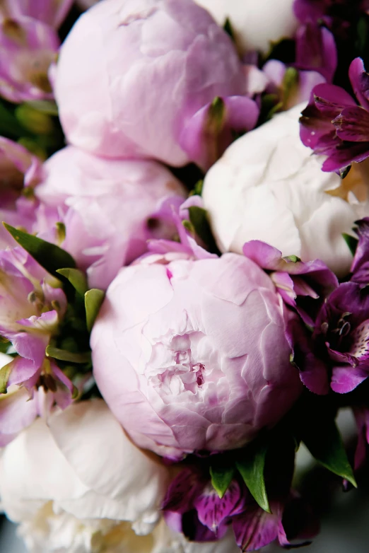 a close up of a bunch of flowers in a vase, subtle purple accents, peony, critically acclaimed, award - winning