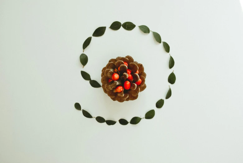 a pine cone surrounded by leaves and berries, an album cover, inspired by Andy Goldsworthy, pexels contest winner, land art, clean minimalist design, cake, circle forms, wide high angle view