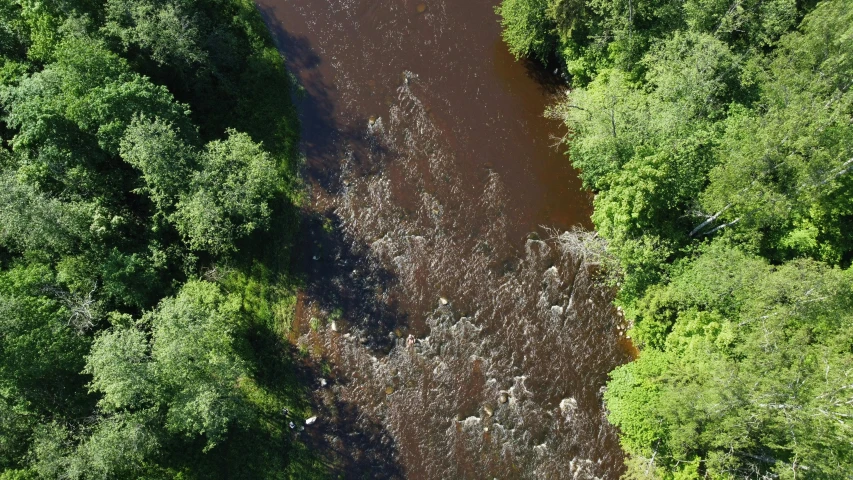 a river running through a lush green forest, oil spill, glasgow, helicopter view, no text!