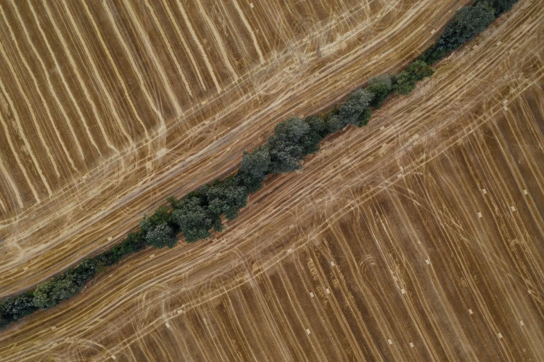 an aerial view of a plowed field, by Adam Marczyński, pexels contest winner, land art, oak trees and dry grass, square lines, striped, olive trees