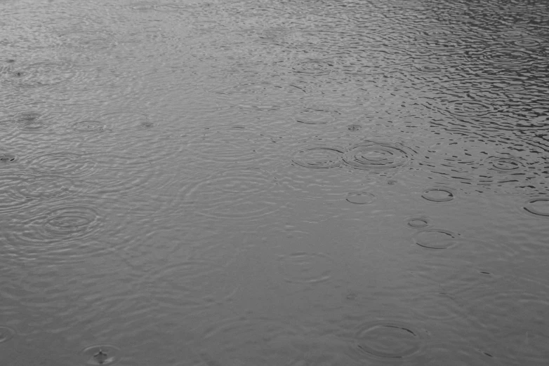 a black and white photo of raindrops in the water, an album cover, pexels, minimalism, circles, calm weather, hd footage, concert