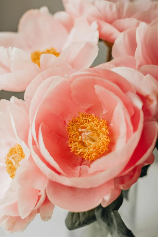 a vase filled with pink flowers on top of a table, up-close, made of silk paper, zoomed in, coral