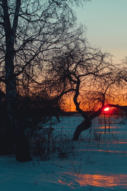 a red fire hydrant sitting in the middle of a snow covered field, by Anato Finnstark, pexels contest winner, sunset panorama, old trees, near a lake, golden hour 4k