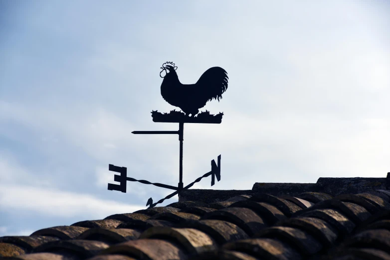 a weather vane sitting on top of a roof, by Paul Bird, unsplash, renaissance, chicken, 15081959 21121991 01012000 4k