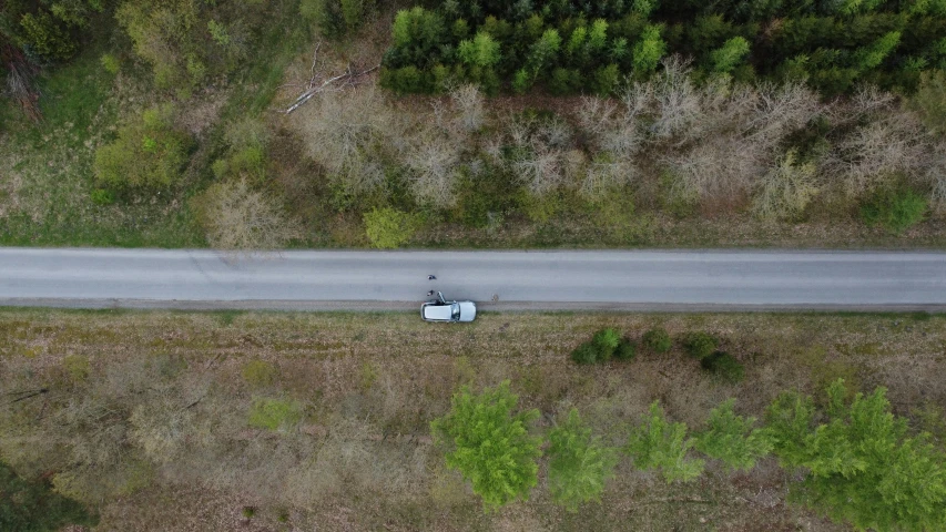 a white truck driving down a road next to a forest, pexels contest winner, uav, tiny person watching, hunting, maintenance photo
