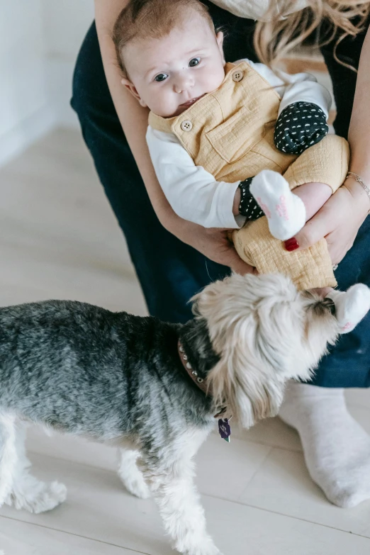 a woman holding a baby and a dog, pexels contest winner, modernism, manuka, toys, subtle textures, grey