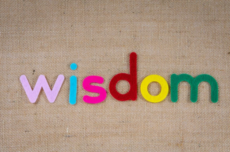 the word wisdom spelled out of felt letters, inspired by John Wilson, trending on pixabay, wise old indian guru, 🤬 🤮 💕 🎀, studio shot, colorful”