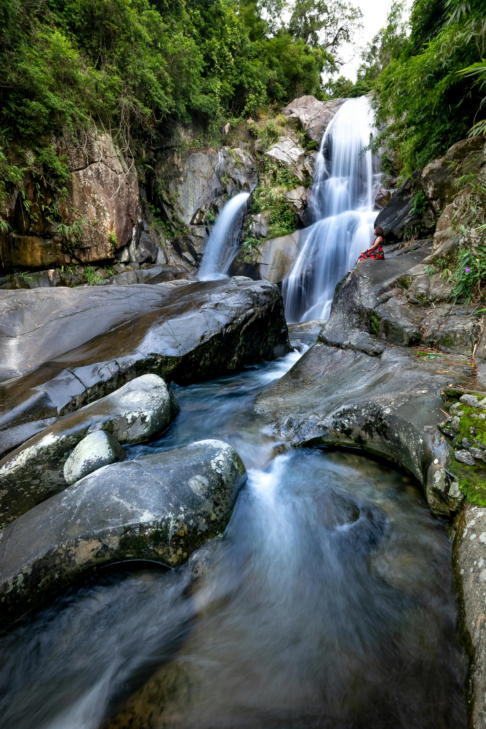 a waterfall flowing through a lush green forest, gold coast australia, rock formations, pools, shan shui