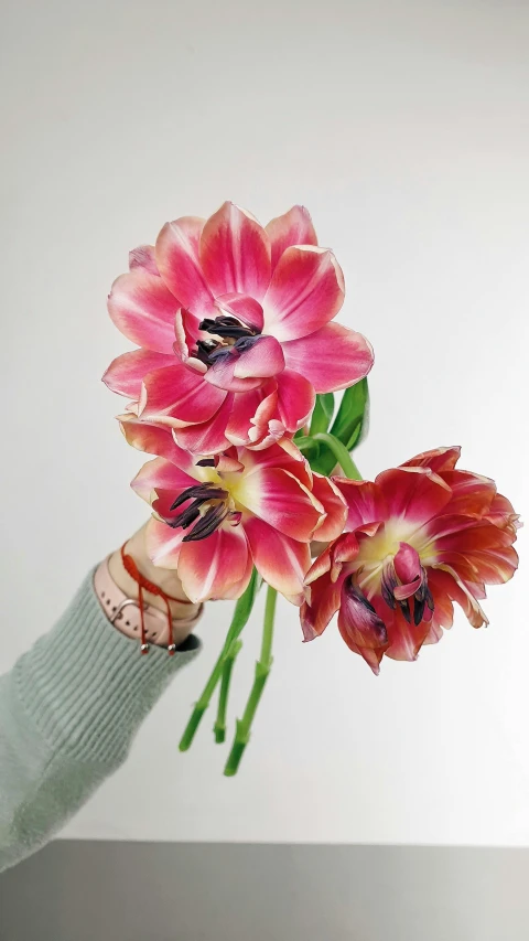 a person holding a bunch of flowers in a vase, taken on iphone 1 3 pro, low quality photo, “hyper realistic, tulip