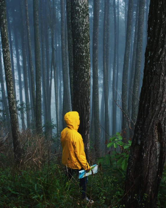 a person in a yellow jacket standing in a forest, a picture, inspired by national geographic, unsplash contest winner, sumatraism, holding a book, rainy and foggy, ((trees)), indonesia