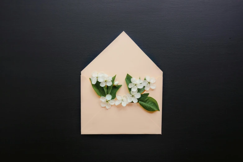 a pink envelope with white flowers on a black background, inspired by Robert Mapplethorpe, unsplash, postminimalism, peach embellishment, sweet home, listing image, shot on sony a 7