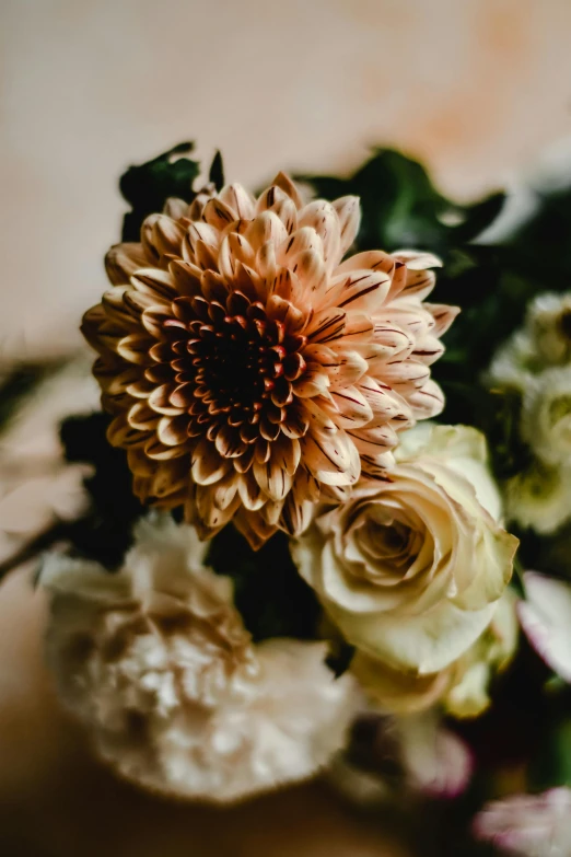 a bouquet of flowers sitting on top of a table, a still life, unsplash, romanticism, brown and cream color scheme, detailed close up shot, dahlias, moderately detailed