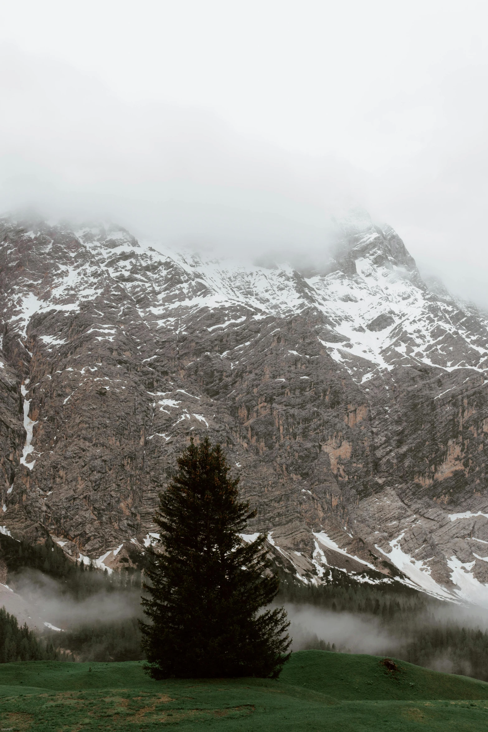 a mountain covered in snow with trees in the foreground, by Alessandro Allori, pexels contest winner, under a gray foggy sky, panoramic widescreen view, lago di sorapis, towering over the camera