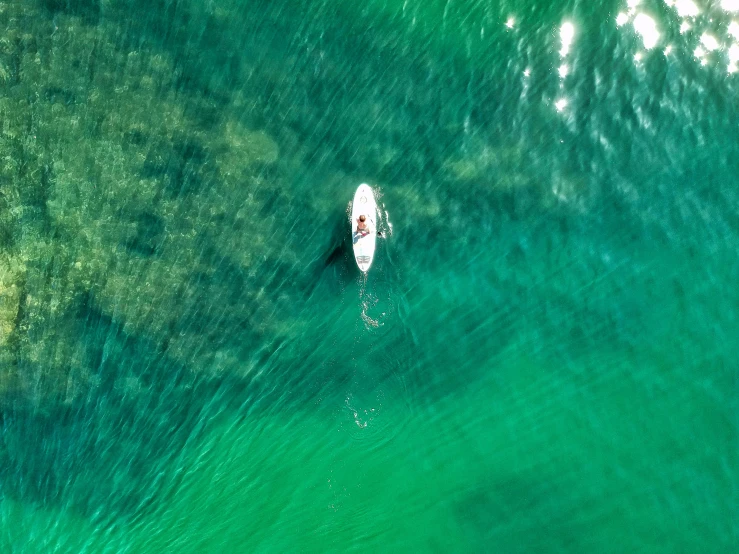 a boat in the middle of a body of water, by Peter Churcher, pexels contest winner, sup, green waters, manly, thumbnail