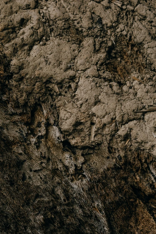 a man riding a surfboard on top of a sandy beach, an album cover, trending on pexels, australian tonalism, tree bark texture, fur with mud, found in a cave made of clay, detail texture