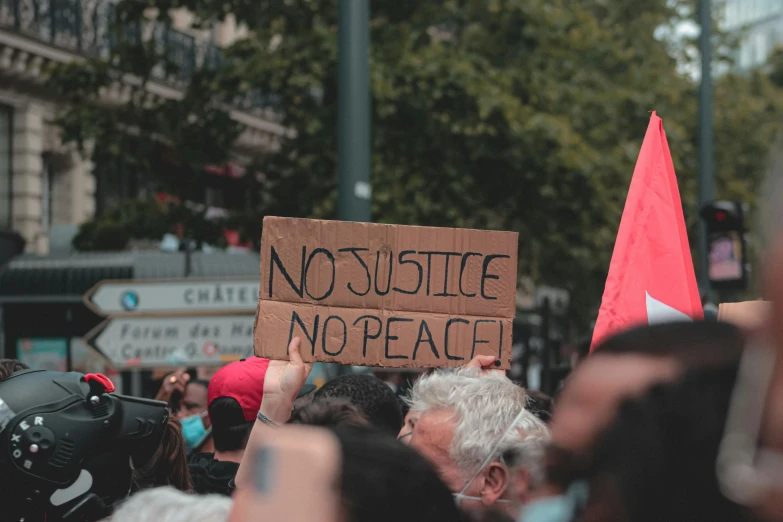 a person holding a sign that says no justice no peace, pexels, thumbnail, riot, 3 pm, profile pic
