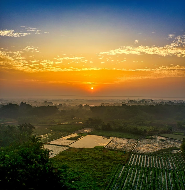 the sun is setting over a rice field, by Daniel Lieske, pexels contest winner, indore, wide high angle view, foggy sunset, looking onto the horizon