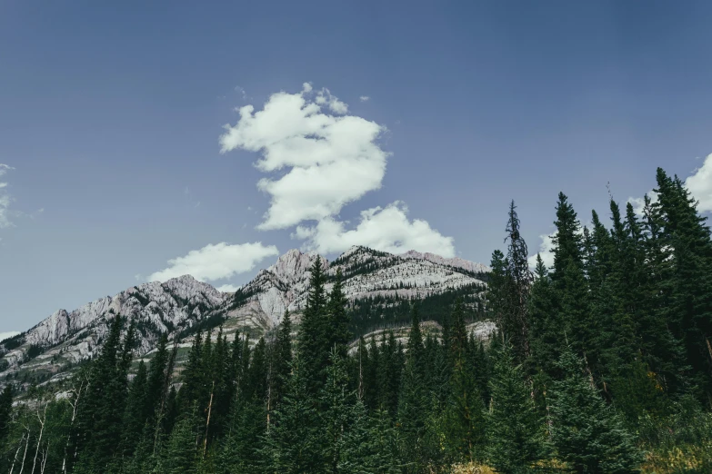 a man riding a snowboard down a snow covered slope, by Alexander Johnston, unsplash contest winner, detailed trees and cliffs, distant rocky mountains, lush evergreen forest, white clouds