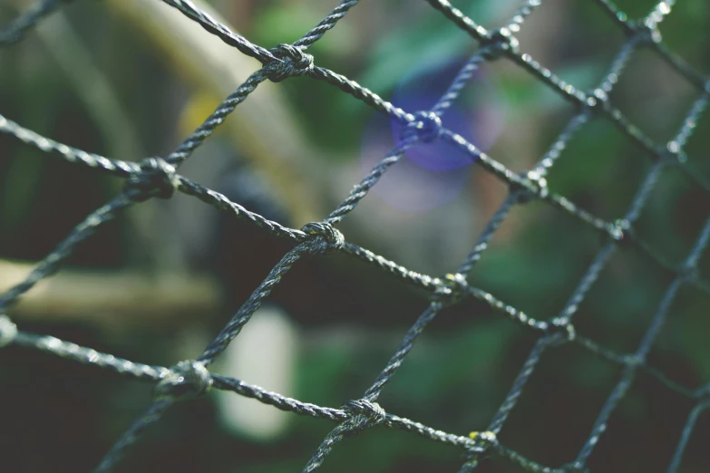 a close up of a chain link fence, inspired by Elsa Bleda, pexels contest winner, rope bridge, 🦩🪐🐞👩🏻🦳, desktop wallpaper, a green